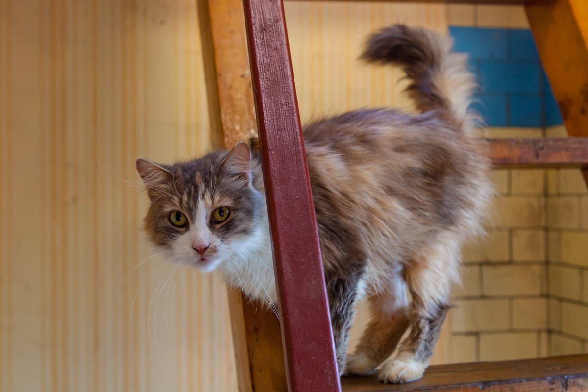 Слыш, ты че не забирать меня приходил?