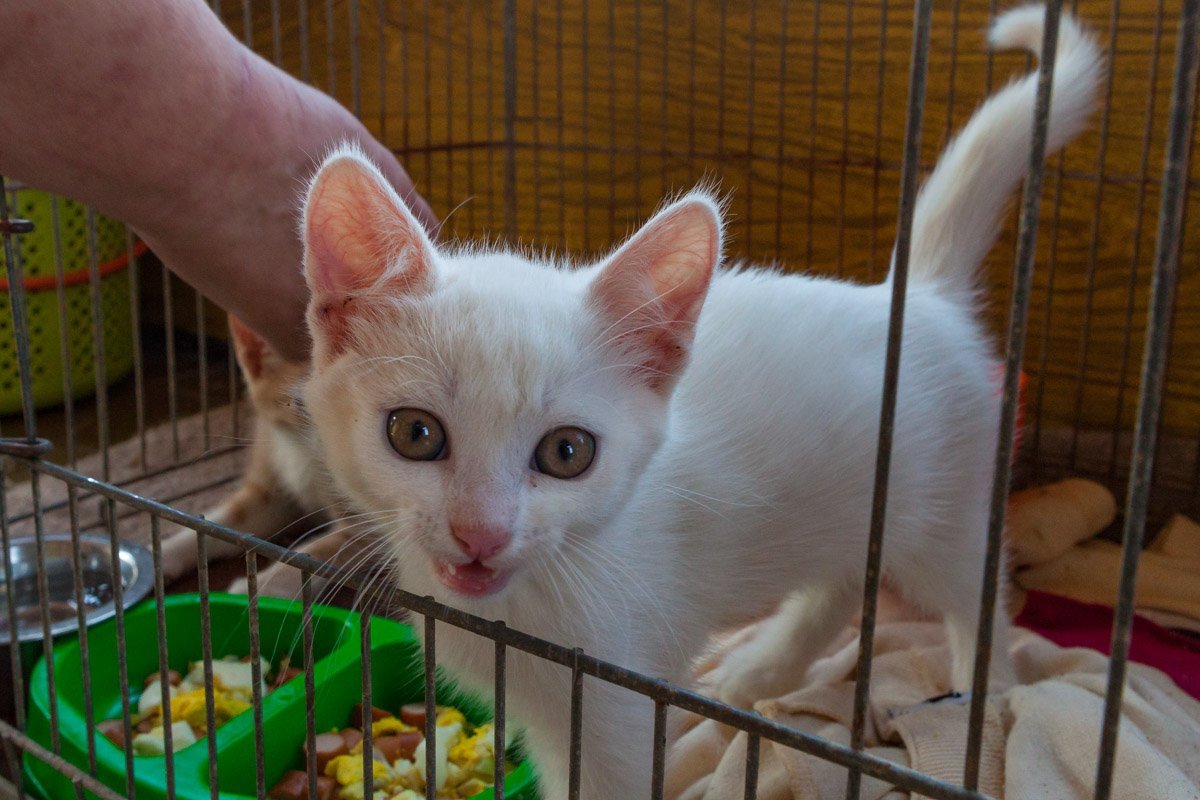 Ну забериииии