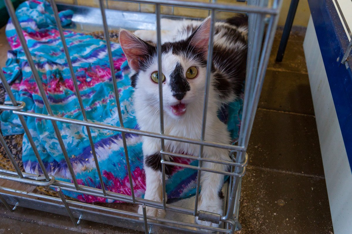 Всем нужна забота