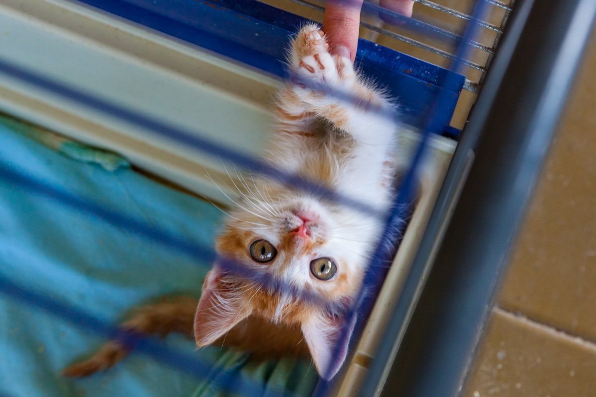 Не отпускай