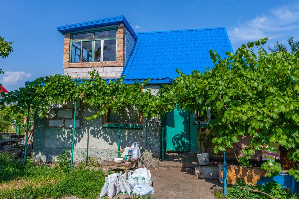 Вы тоже можете помочь приюту