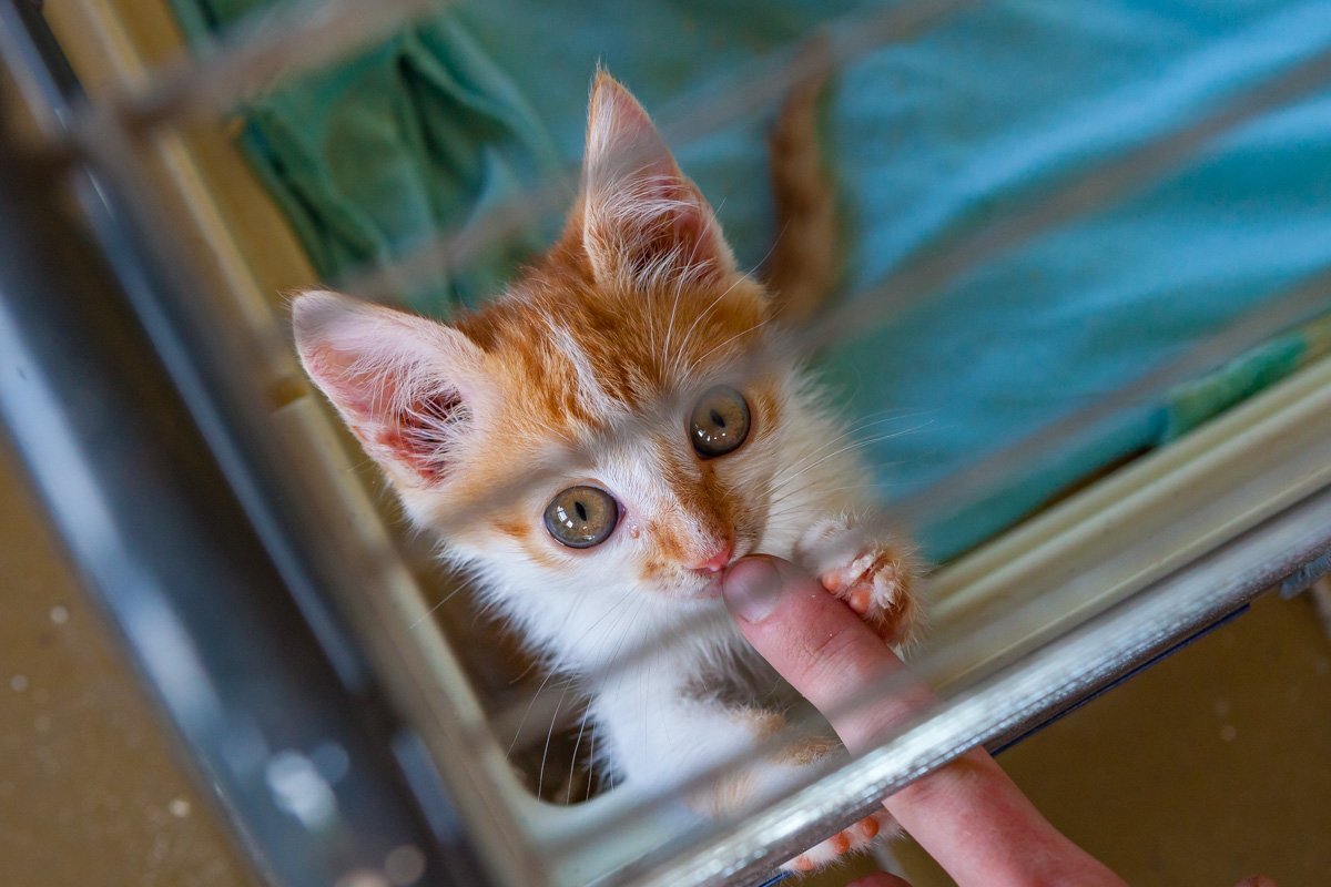 Еще увидимся