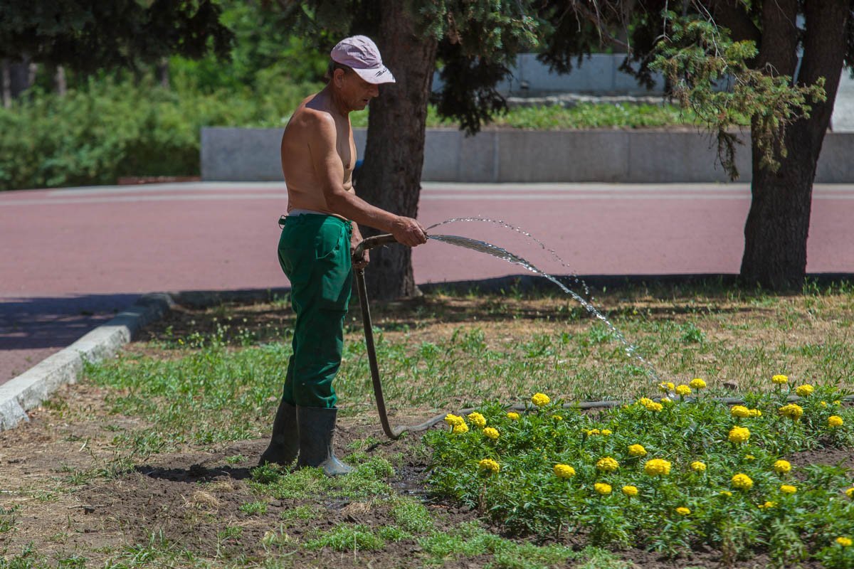 В такую жару возникает непреодолимое желание подружиться с садовником