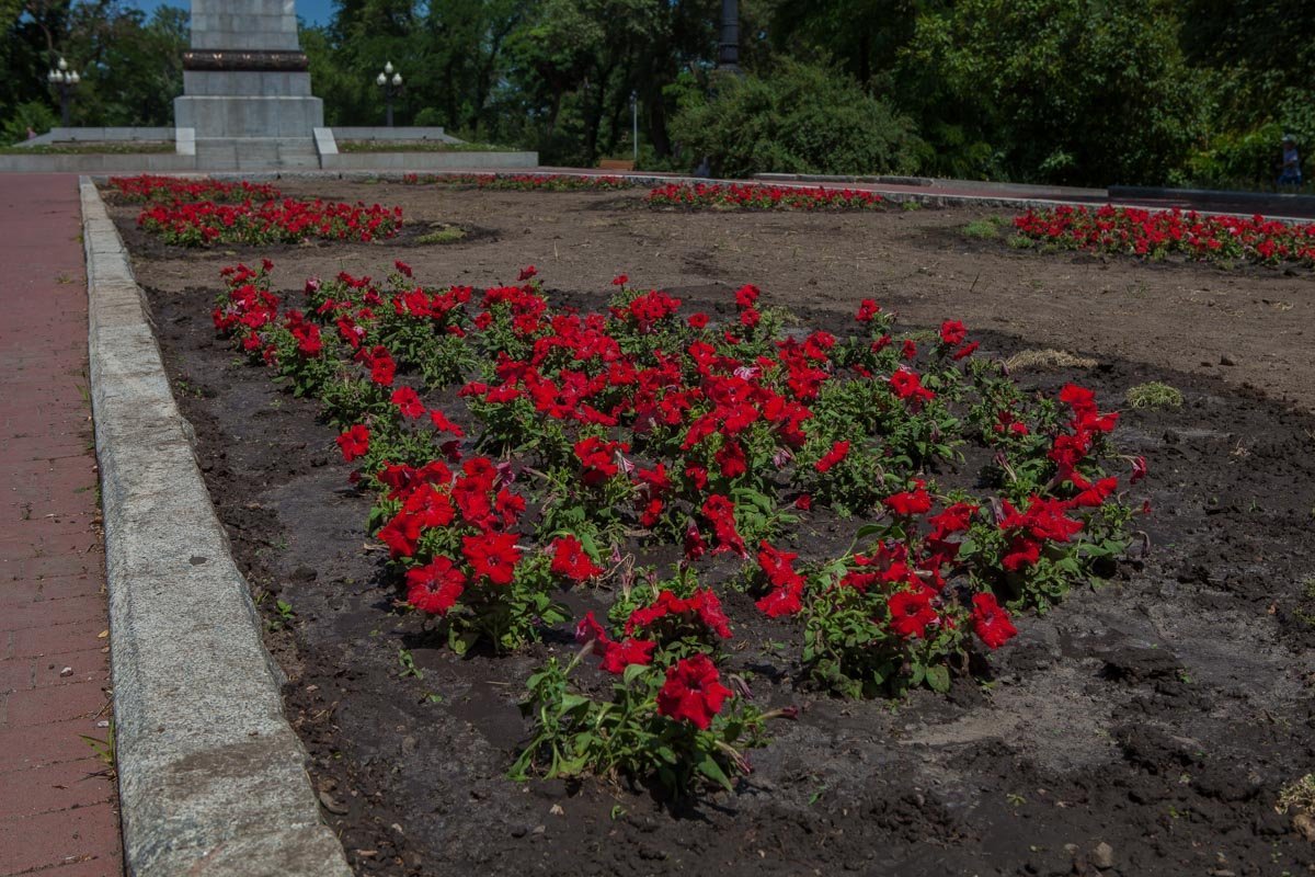 О клумбах заботятся садовники О клумбах заботятся садовники