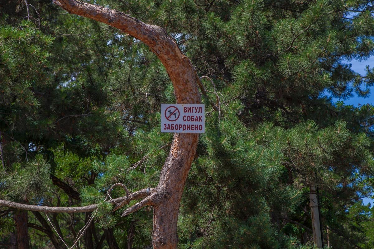 Животные тоже думают о чистоте Животные тоже думают о чистоте