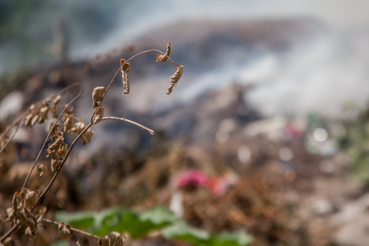 Пожар распространился на 50 кв. м. Пожар распространился на 50 кв. м.