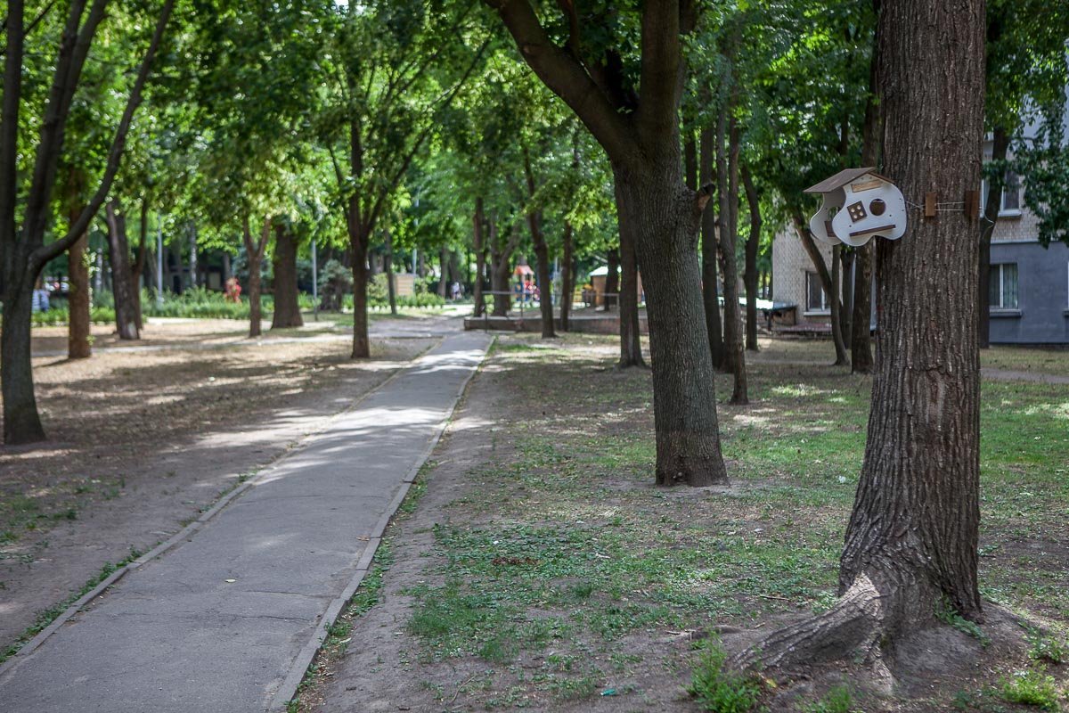 Тут можно гулять и кормить птичек