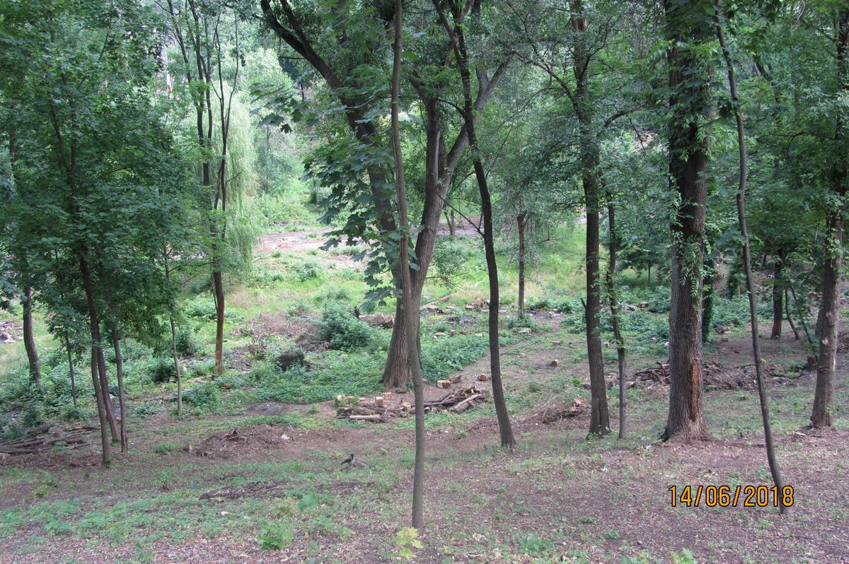 На левом склоне продолжают работы по вырубке поросли