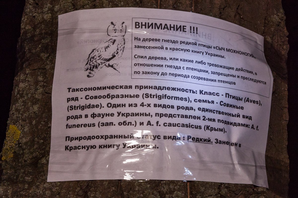 На столбах расклеили такие таблички На столбах расклеили такие таблички