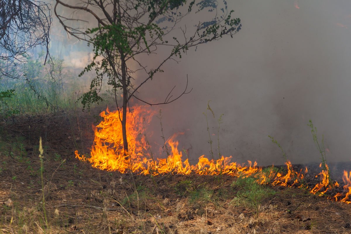 Пока пожарные тушили огонь в одной стороне, тот медленно распространялся в противоположной