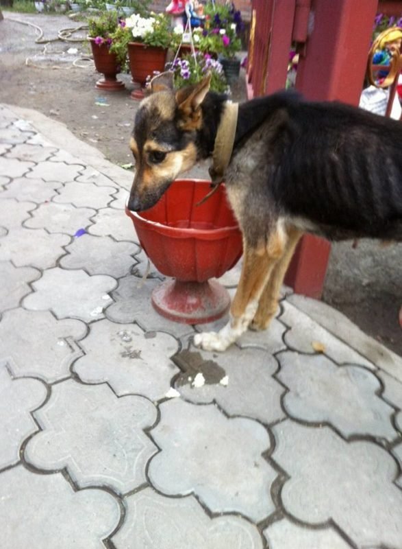 Верните ей надежду