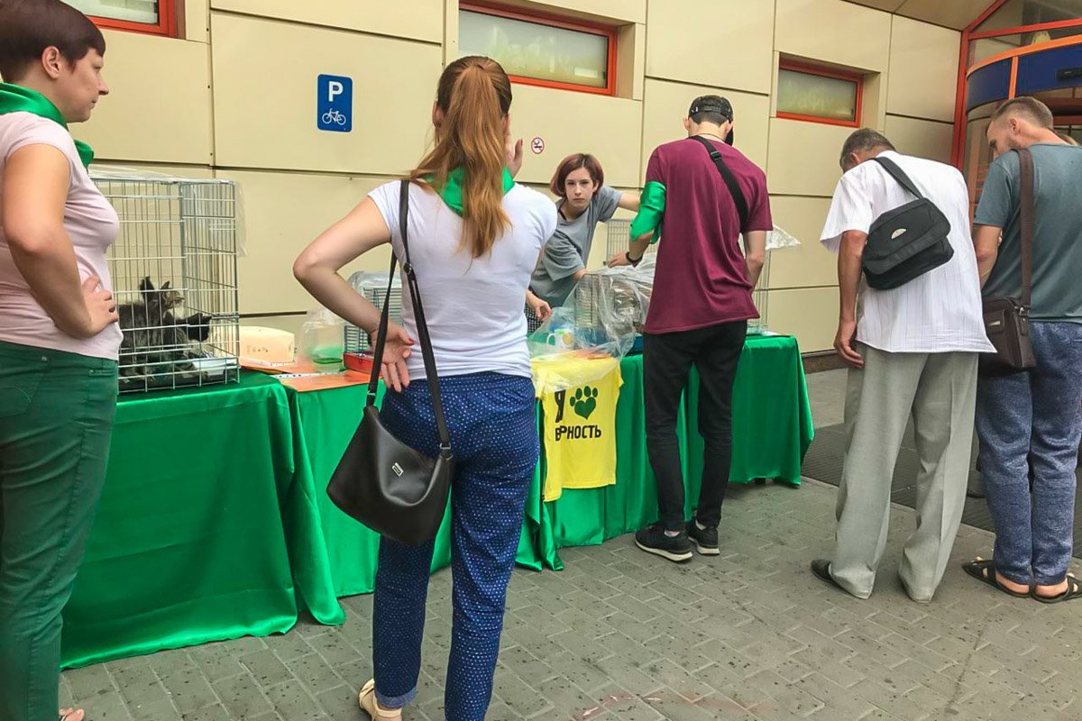 Прохожие жертвуют деньги на приют Прохожие жертвуют деньги на приют