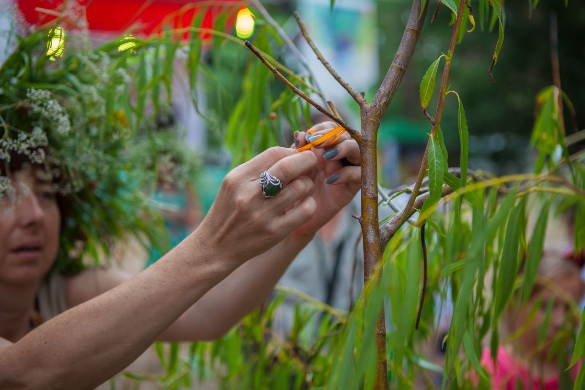 Купала забирает все себе