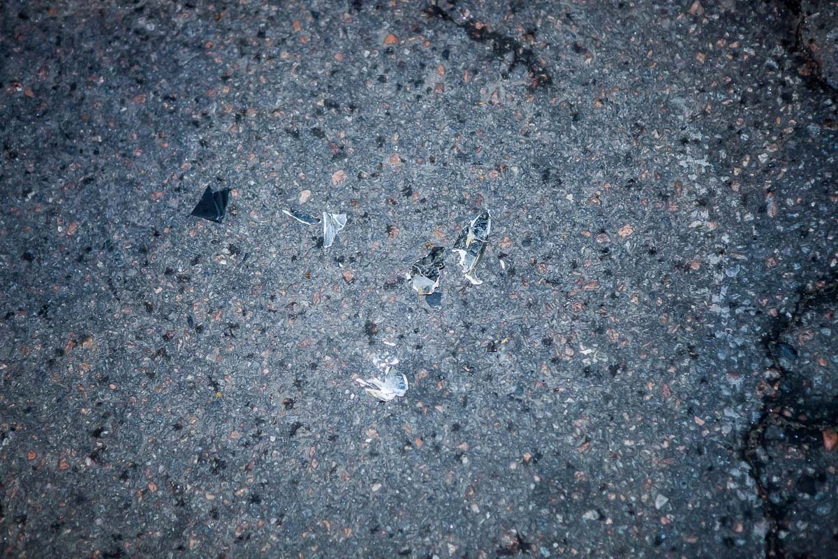 Фото: Евгений Ошарин Фото: Евгений Ошарин