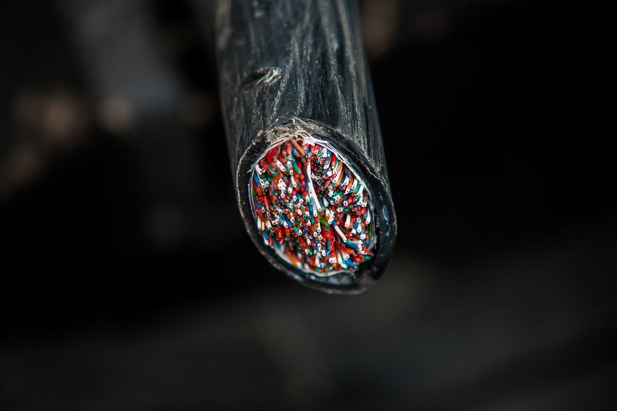 Фото: Евгений Ошарин Фото: Евгений Ошарин