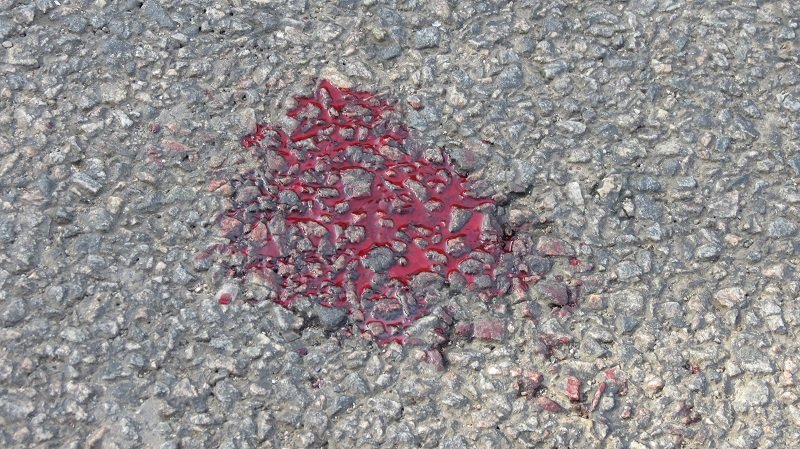 По словам очевидцев, одна девочка упала сразу, а вторую автомобиль протянул на капоте и ее отбросило на пару метров По словам очевидцев, одна девочка упала сразу, а вторую автомобиль протянул на капоте и ее отбросило на пару метров