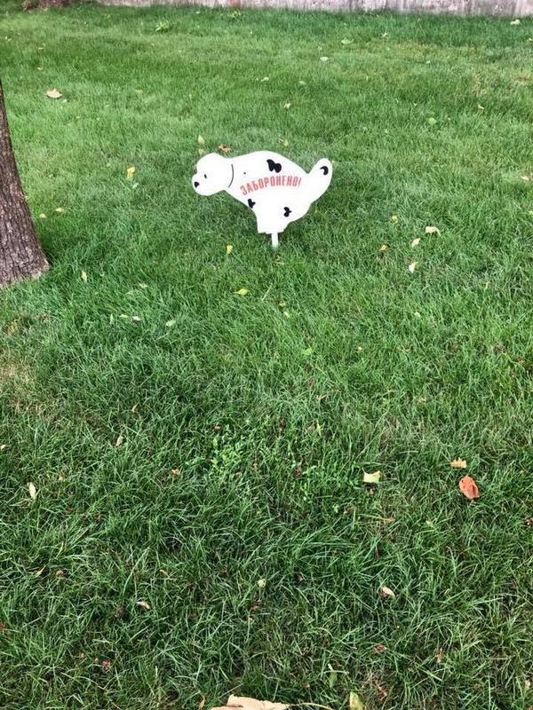 Собачек придется выгуливать в другом месте