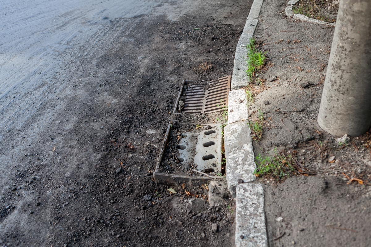 Скоро эти малышки будут "купаться" в новом асфальте Скоро эти малышки будут "купаться" в новом асфальте