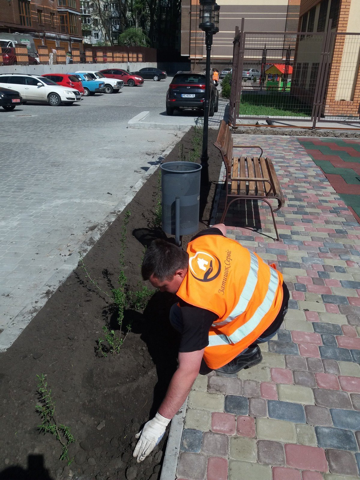 Цветы высаживают садовники