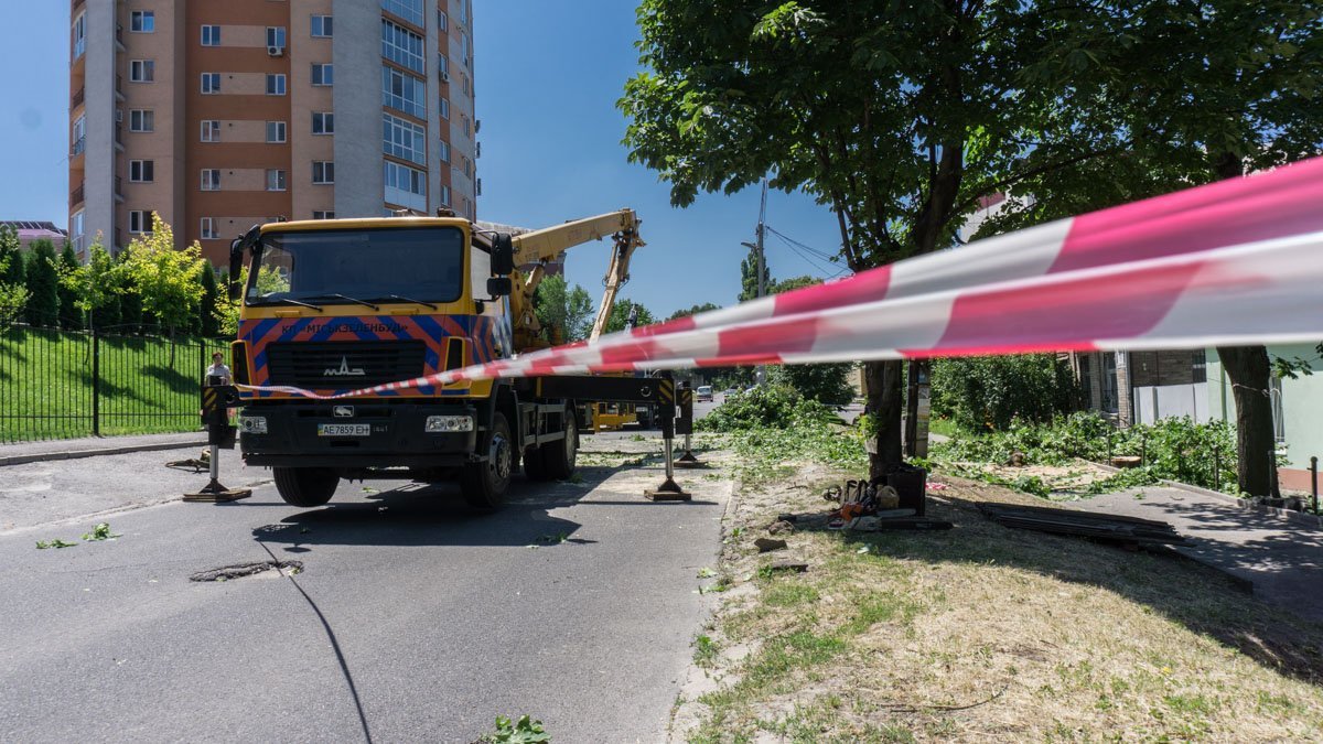 В это же время на Полигонной срезают аварийные деревья В это же время на Полигонной срезают аварийные деревья