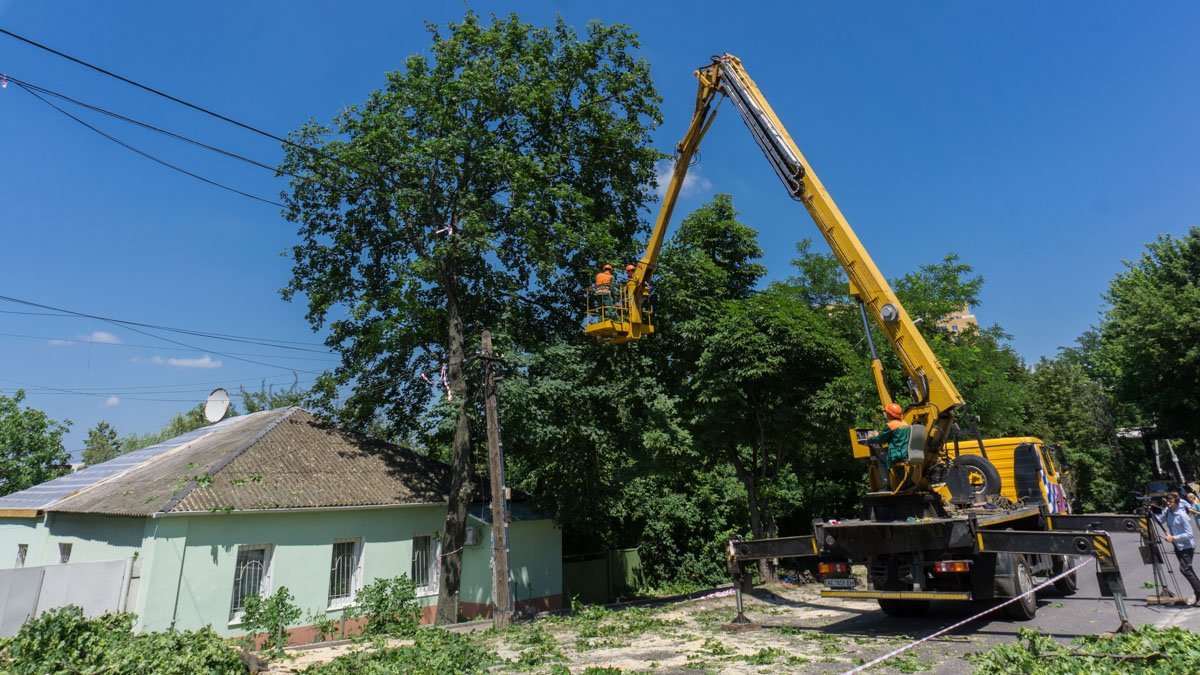Уничтожили их по просьбе местного жителя Уничтожили их по просьбе местного жителя