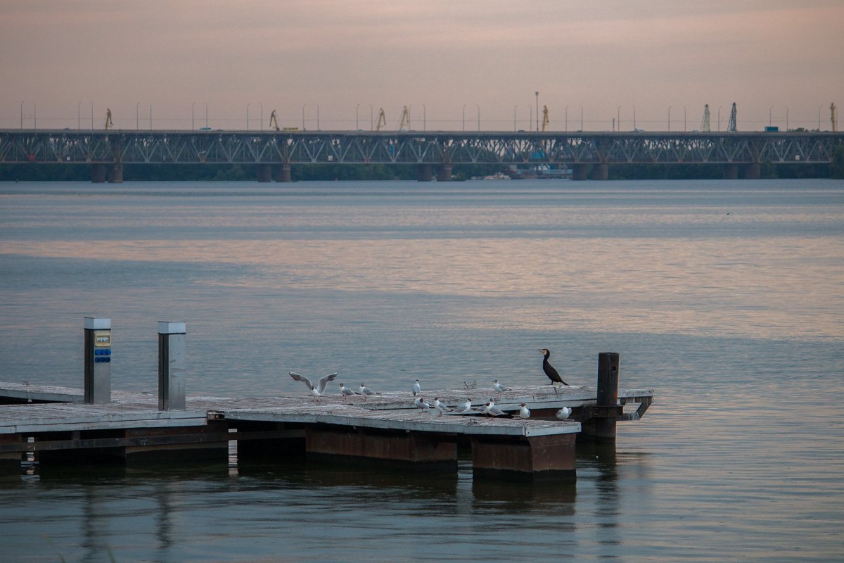 Просто закрой глаза и представь, что ты далеко отсюда Просто закрой глаза и представь, что ты далеко отсюда