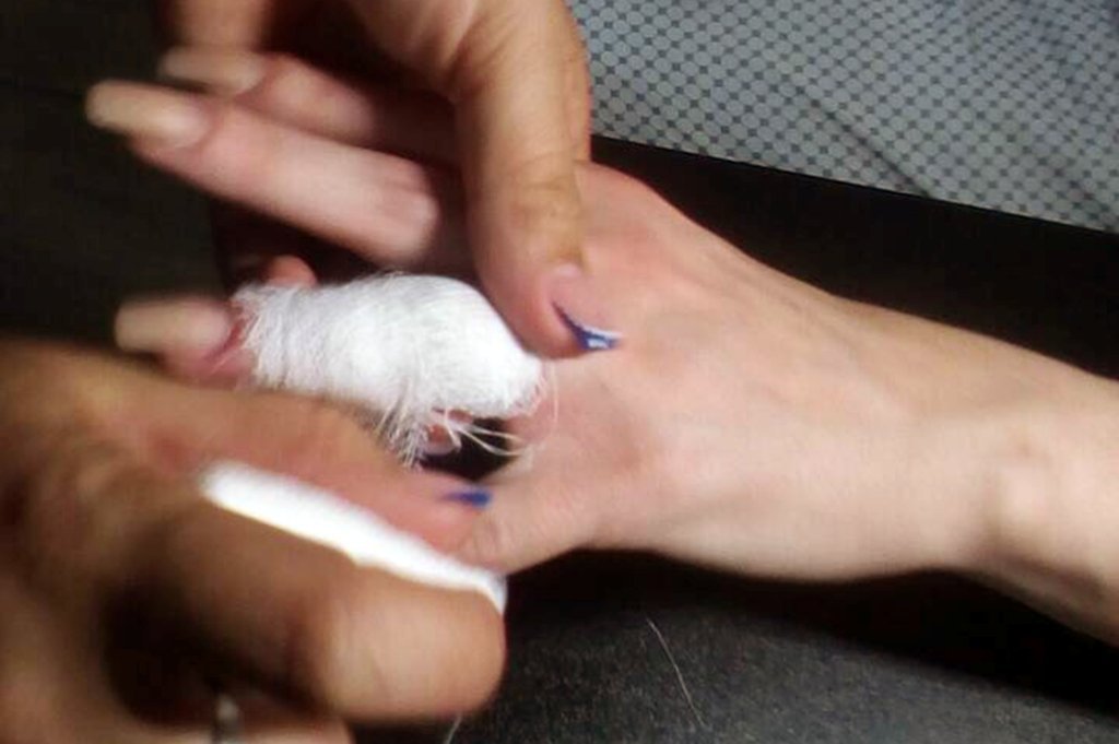 28 июня в 11:20 в службу спасения "101" позвонила женщина с очень необычной проблемой 28 июня в 11:20 в службу спасения "101" позвонила женщина с очень необычной проблемой