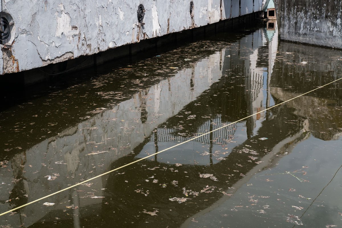 Вода в озере стала похожа на лужу с мусором Вода в озере стала похожа на лужу с мусором