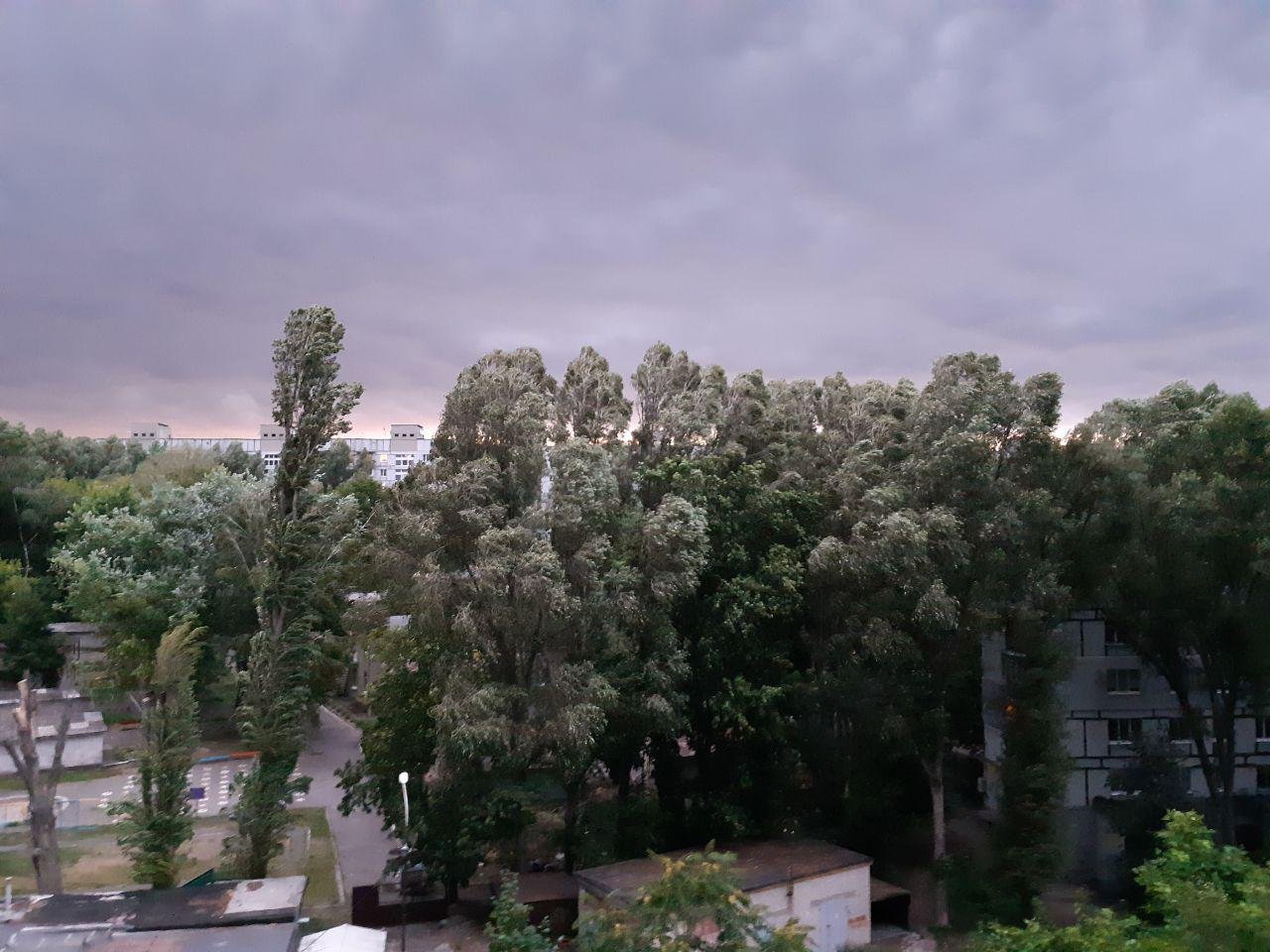 В такую погоду лучше воздержаться от прогулок В такую погоду лучше воздержаться от прогулок