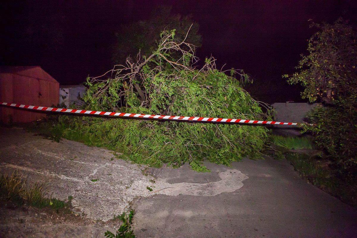 На улице Уральской дерево упало возле гаражей На улице Уральской дерево упало возле гаражей