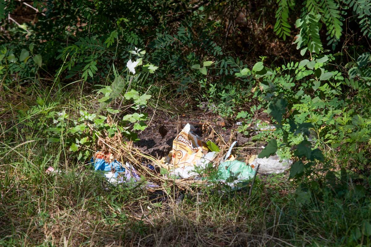Помните, пластик и полиэтилен может разлагаться сотнями лет  Помните, пластик и полиэтилен может разлагаться сотнями лет