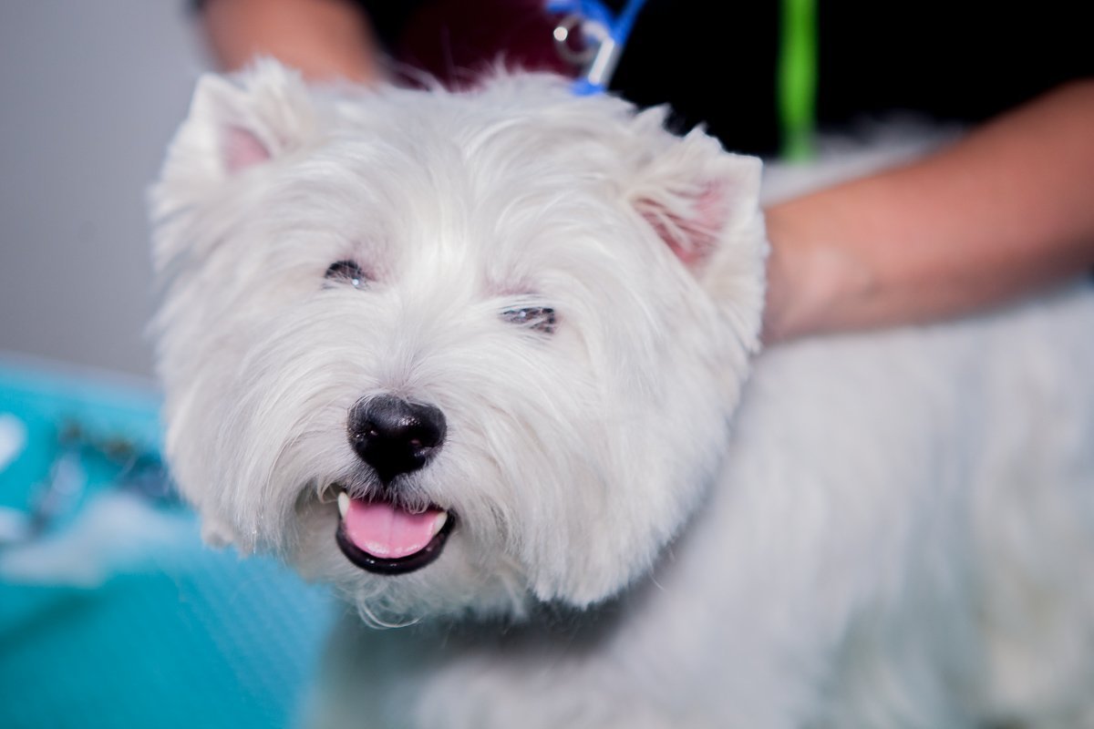 Посетители могли узнать много нового на лекциях Посетители могли узнать много нового на лекциях