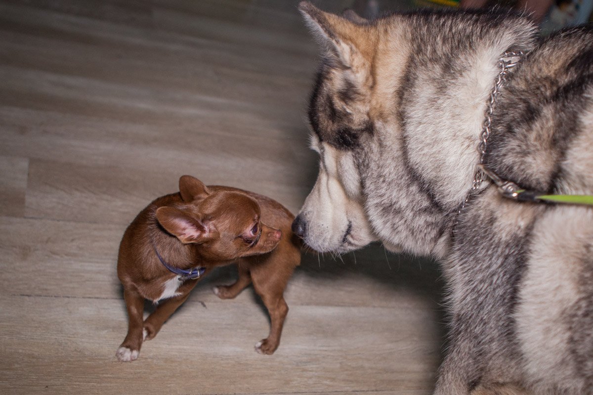 Любовь - непредсказуемая штука Любовь - непредсказуемая штука