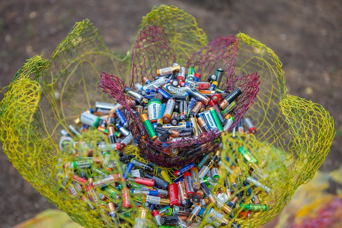 Прекрасный цветок не такой уж прекрасный