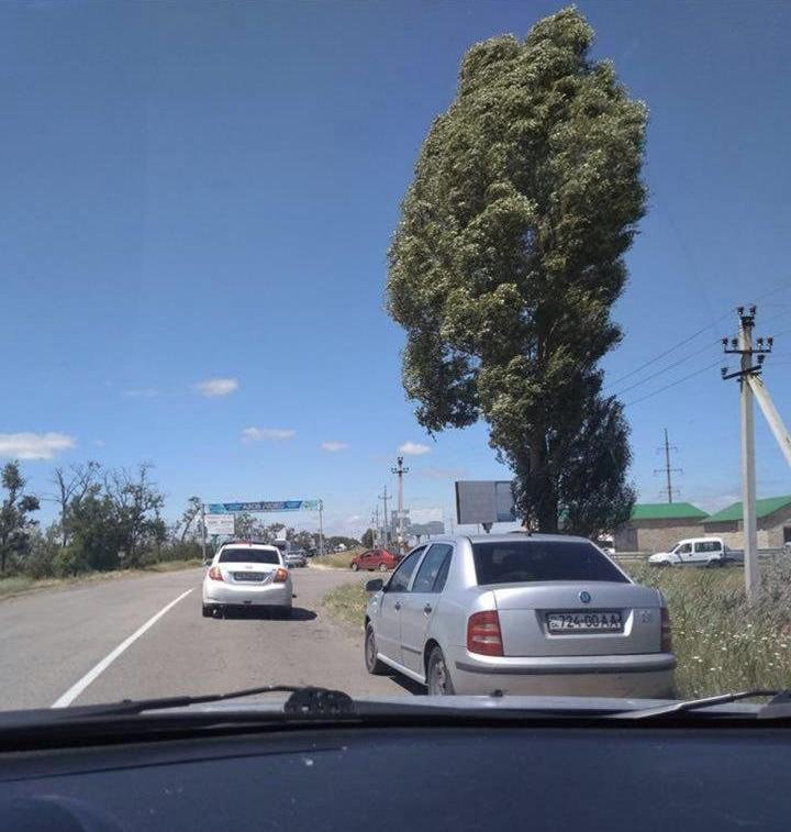 Надеемся, вы запаслись провизией