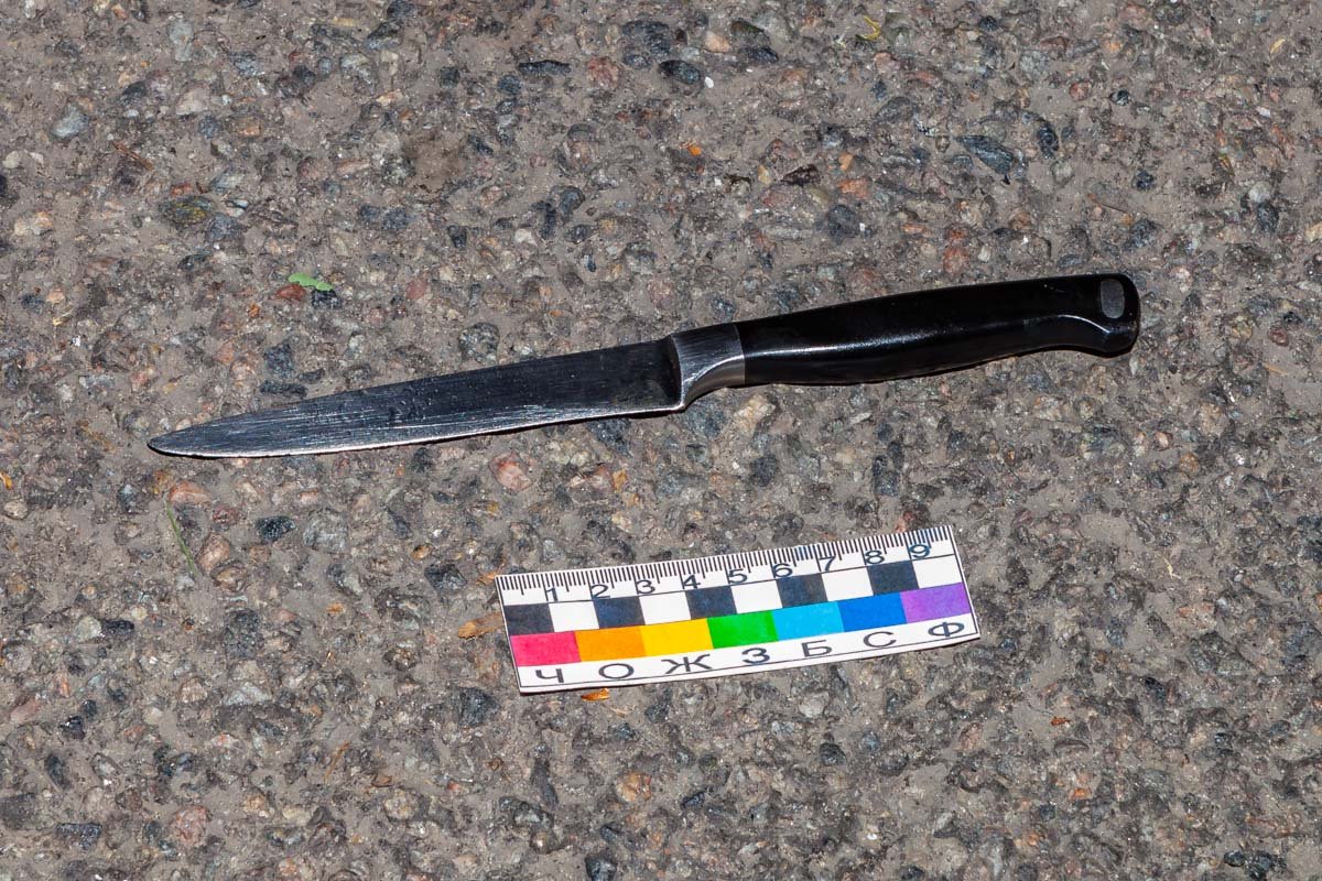 На место вызвали следственно-оперативную группу, которая изъяла нож