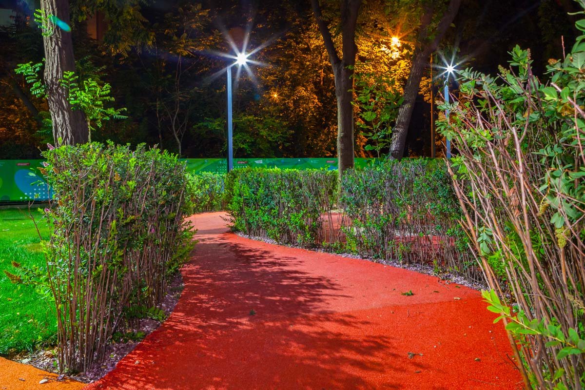 Тропинка, окруженная зеленью