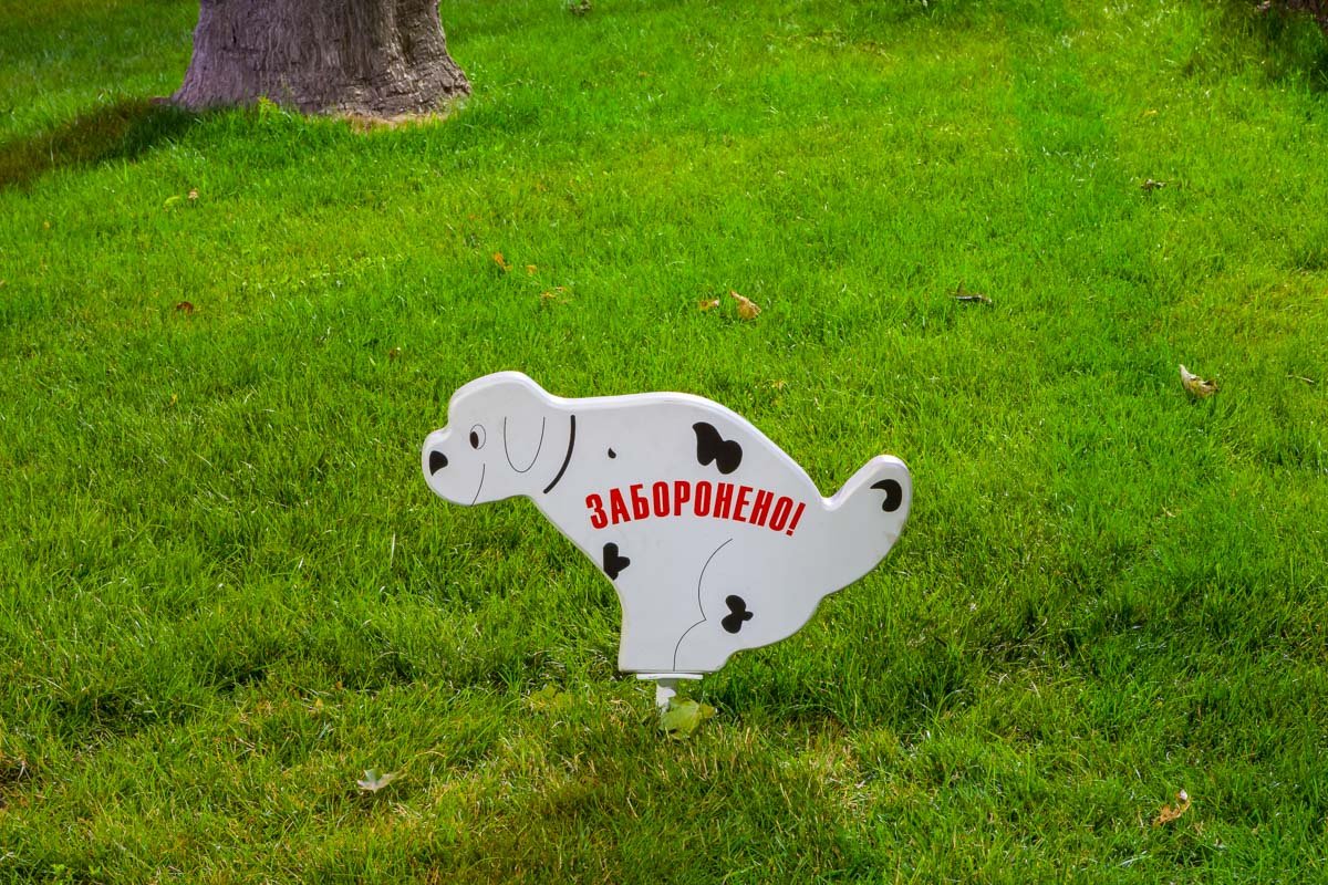 В парке заботятся о чистоте