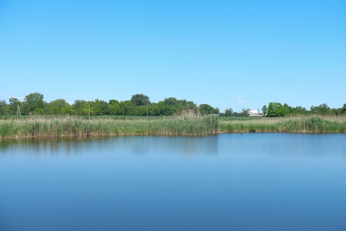 Сегодня у Заплавки официально второй день рождения Сегодня у Заплавки официально второй день рождения