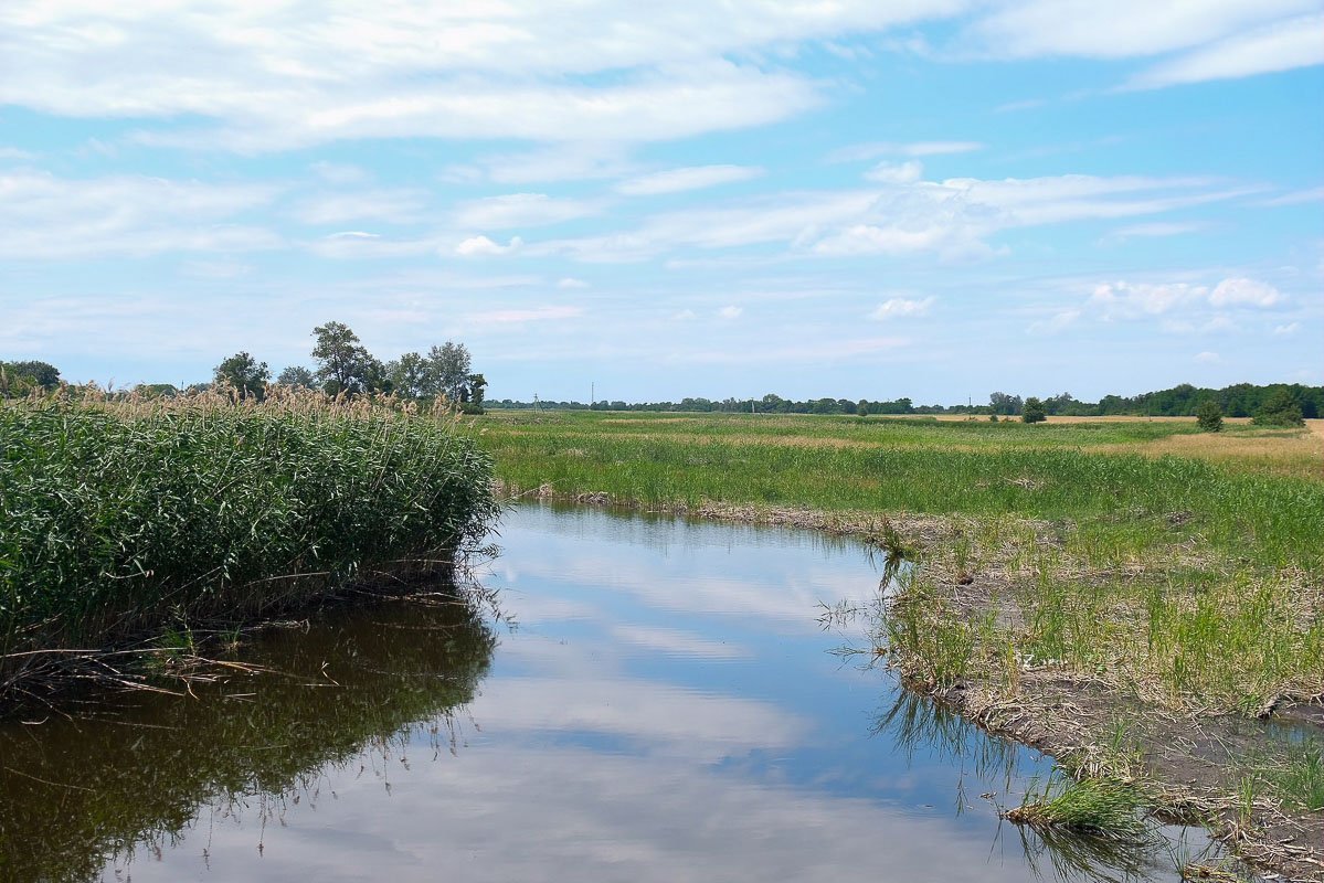 В летнюю пору река постоянно пересыхала... В летнюю пору река постоянно пересыхала...