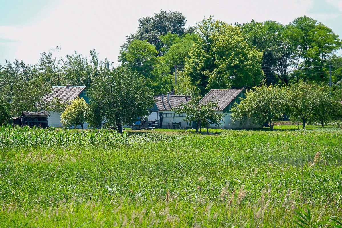 Местные жители психанули и обратились к власти за помощью Местные жители психанули и обратились к власти за помощью