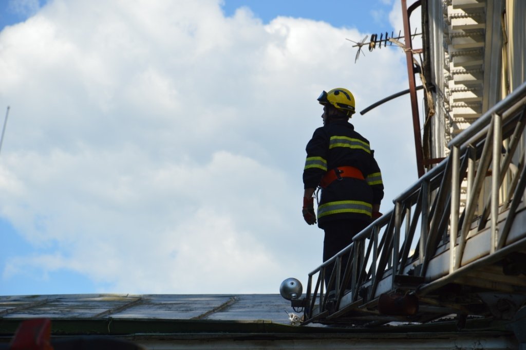 Один из бойцов мигом забрался на крышу и схватил котенка Один из бойцов мигом забрался на крышу и схватил котенка