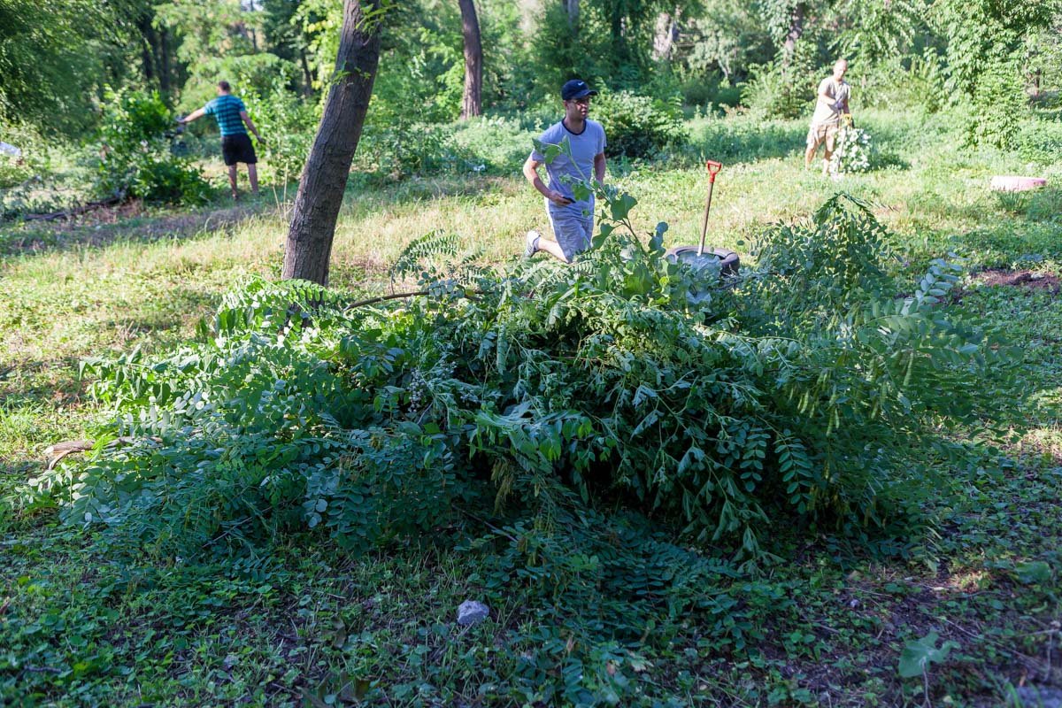 Сначала все расчищают территорию Сначала все расчищают территорию