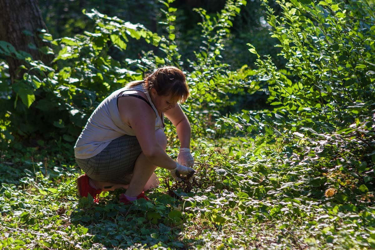 На обустройство парка удалось собрать около 2000 гривен На обустройство парка удалось собрать около 2000 гривен