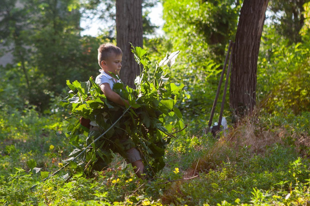Территорию убирают от веток Территорию убирают от веток