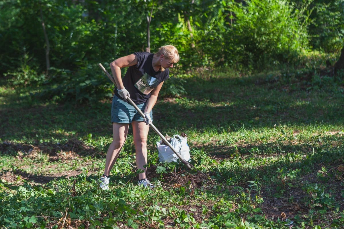 В будущем в парке хотят проводить мероприятия В будущем в парке хотят проводить мероприятия