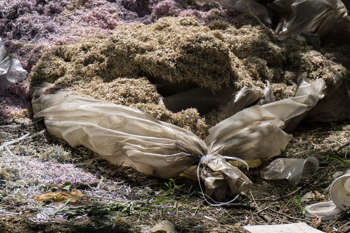 Сложно представить, какая общая сумма всего содержимого Сложно представить, какая общая сумма всего содержимого