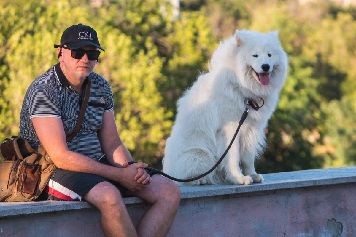 Печально я гляжу на наше поколенье