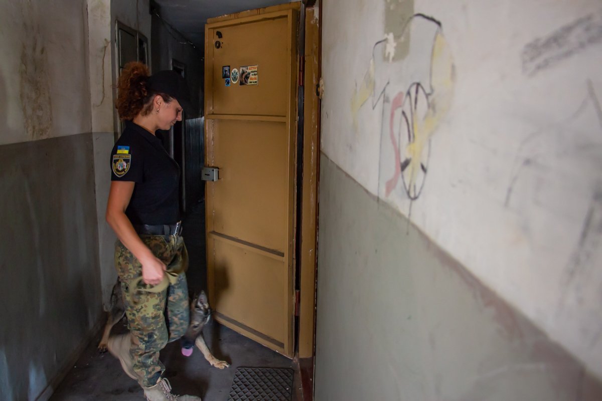 Для следственных действий привлекли кинологов Для следственных действий привлекли кинологов