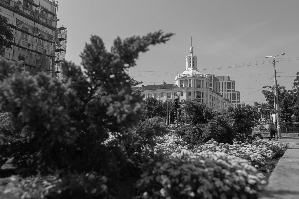 Плохо, когда у человека все серое: и душа, и мысли, и взгляд. Серые только перепелки красивые